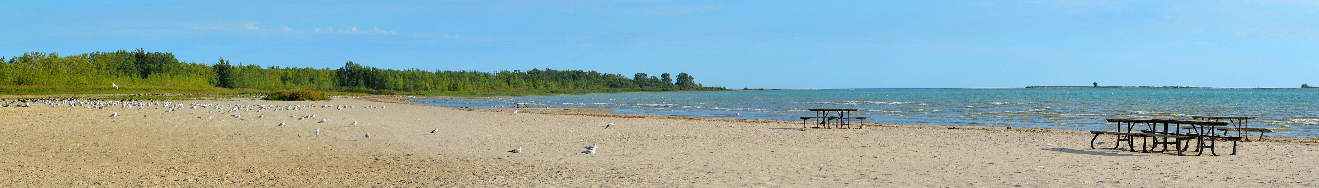 Openly licensed location photo associated with Brighton